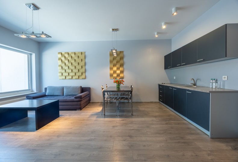 APARTAMENT z aneksem kuchennym 4