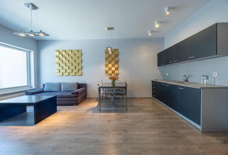 APARTMENT with kitchenette 4