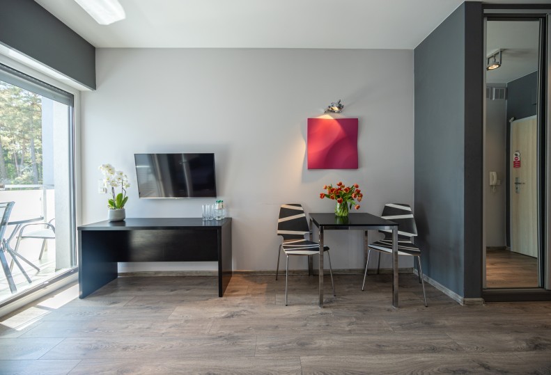 APARTMENT with kitchenette 2